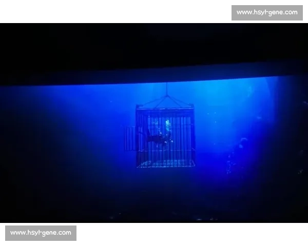 《深夜消失的证据背后隐藏的惊人秘密，究竟是谁在操控一切》