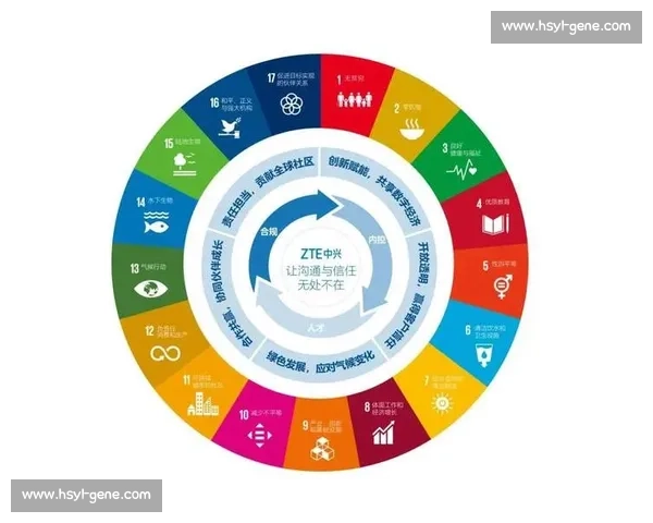 以社会责任为核心推动企业可持续发展与社会价值共创的路径探索