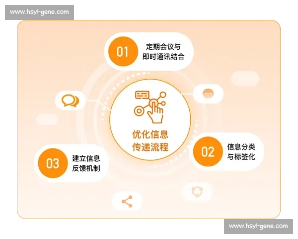 基于排名系统的优化与应用研究：提升效率与精准度的策略分析